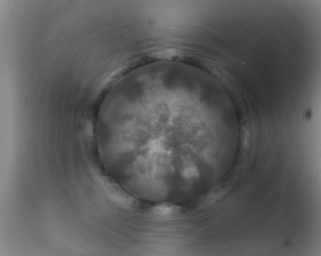 X0000112200375200908141439