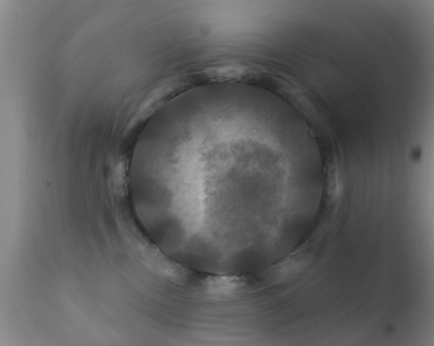 X0000112200378200908141439