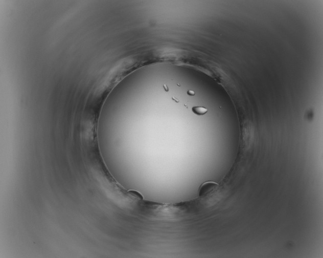 X0000112200379200908141439