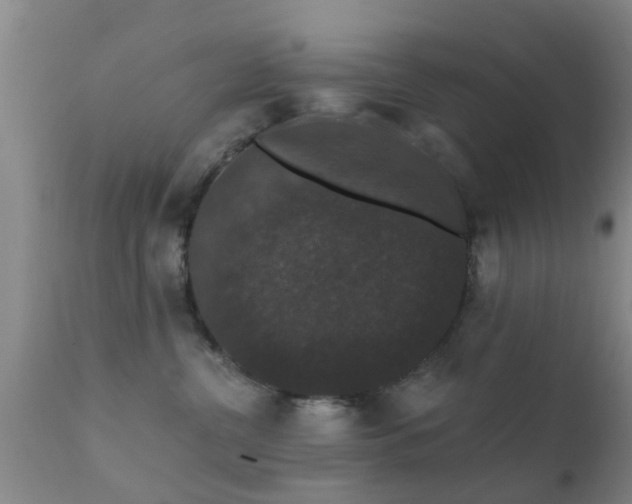 X0000112200380200908141439