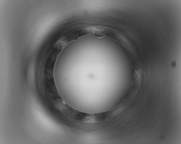 X0000112200381200908141439