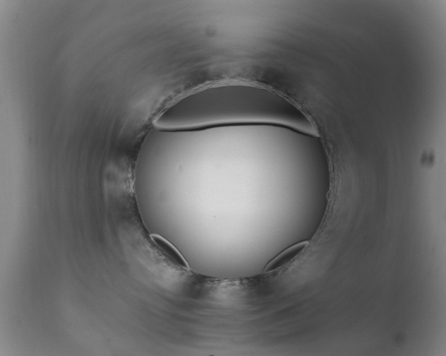 X0000112200384200908141439