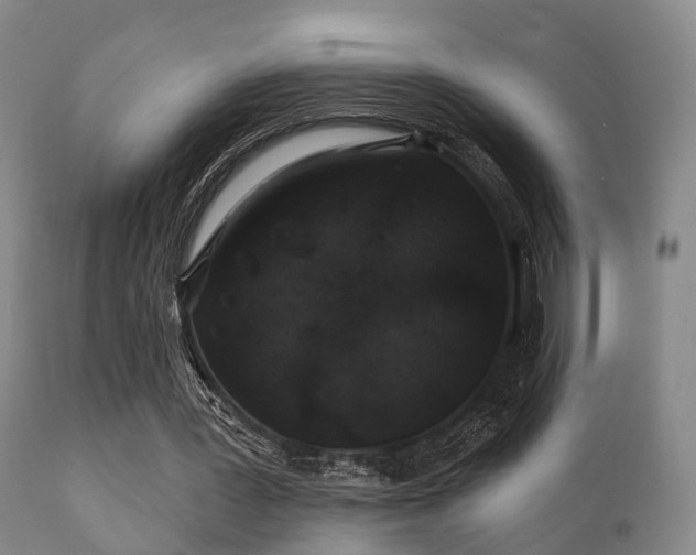 X0000112200387200908141438