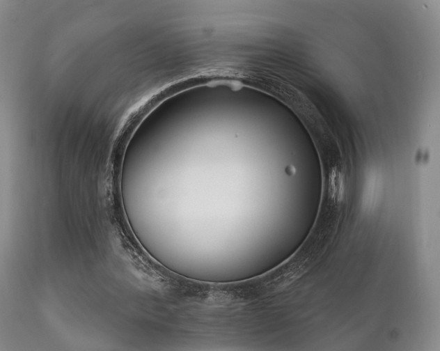 X0000112200388200908141438