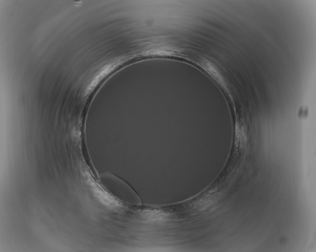 X0000112200389200908141438