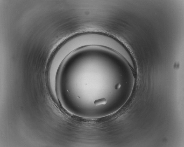 X0000112200391200908141438