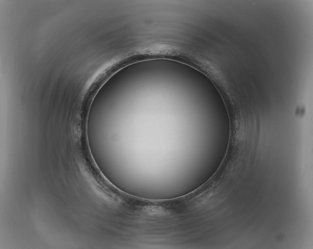 X0000112200392200908141438