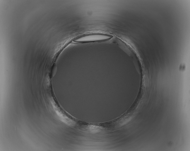 X0000112200393200908141438