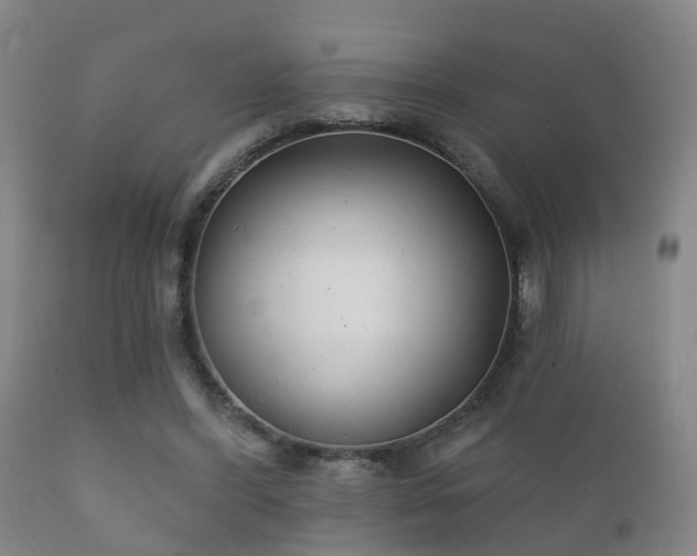 X0000112200396200908141438