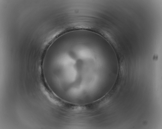 X0000112200398200908141438