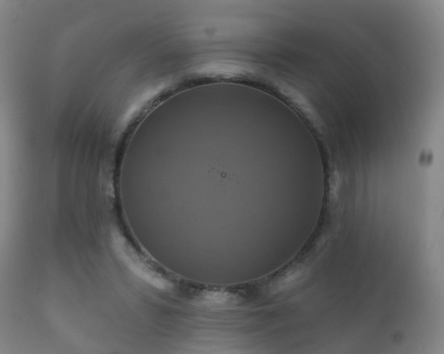 X0000112200399200908141438