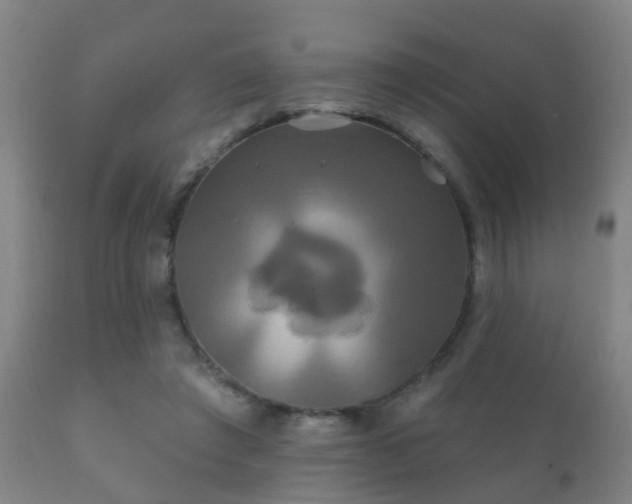 X0000112200401200908141438