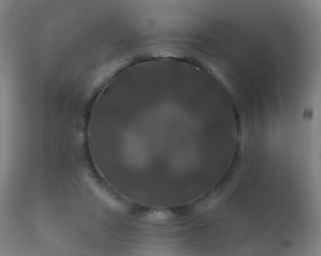 X0000112200402200908141438