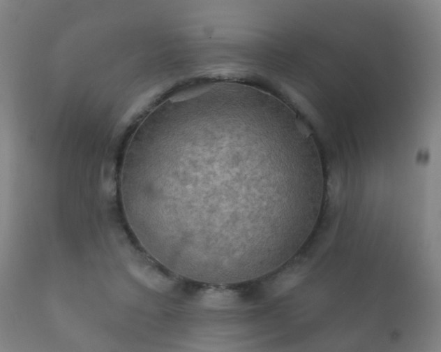 X0000112200403200908141438