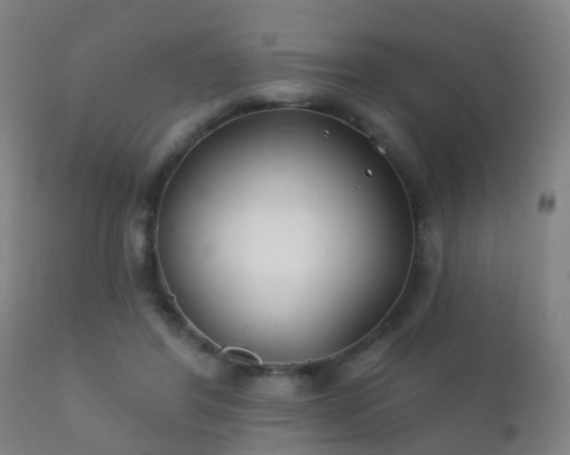 X0000112200404200908141438