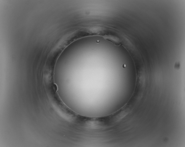 X0000112200408200908141438