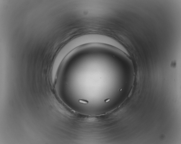 X0000112200409200908141438