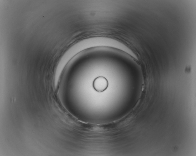 X0000112200413200908141438