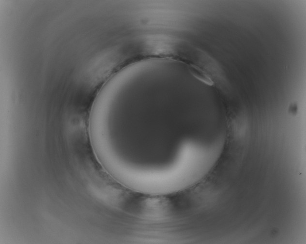 X0000112200415200908141438