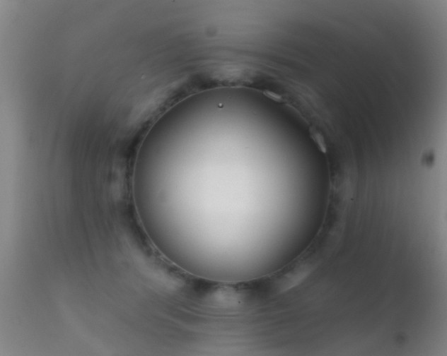 X0000112200416200908141438