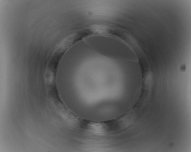 X0000112200417200908141438