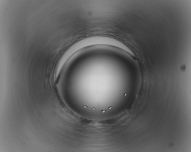 X0000112200419200908141438