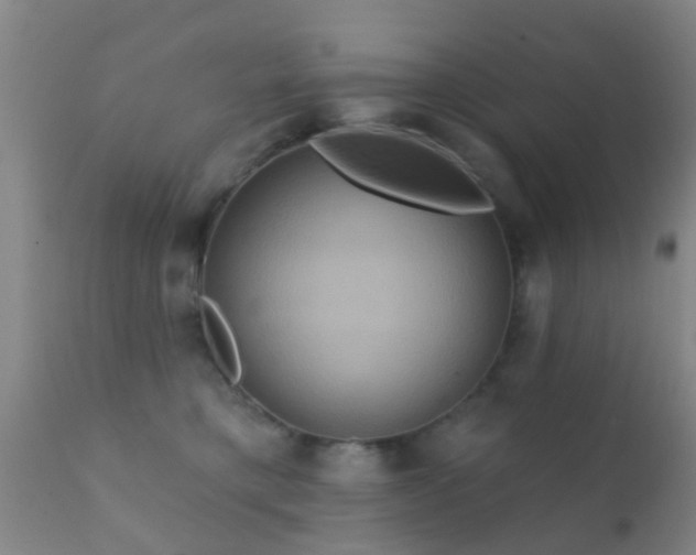 X0000112200421200908141438