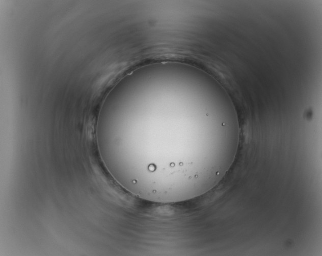 X0000112200423200908141438