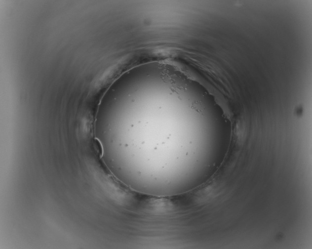 X0000112200424200908141438