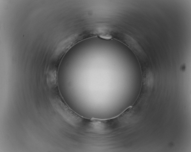 X0000112200425200908141438