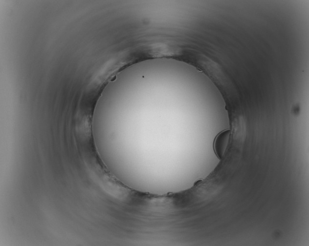 X0000112200426200908141438