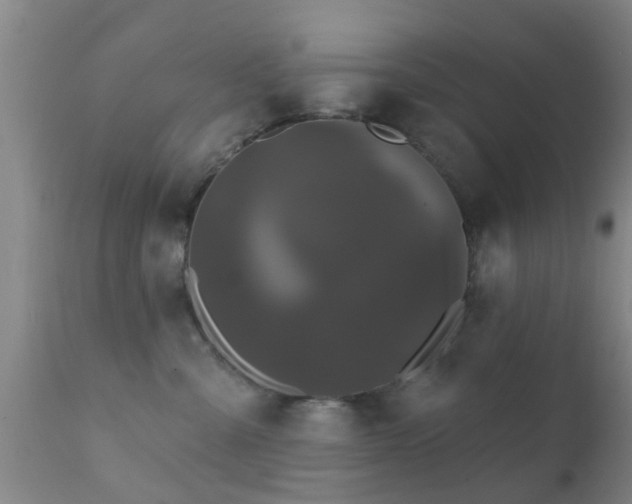 X0000112200427200908141438