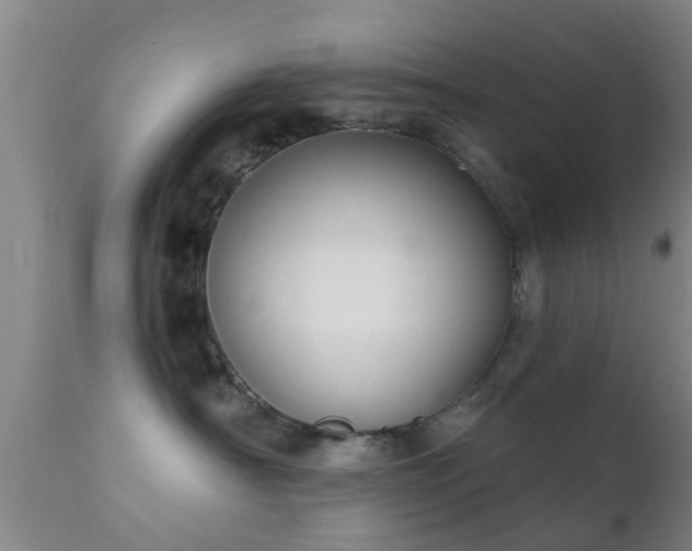 X0000112200430200908141438