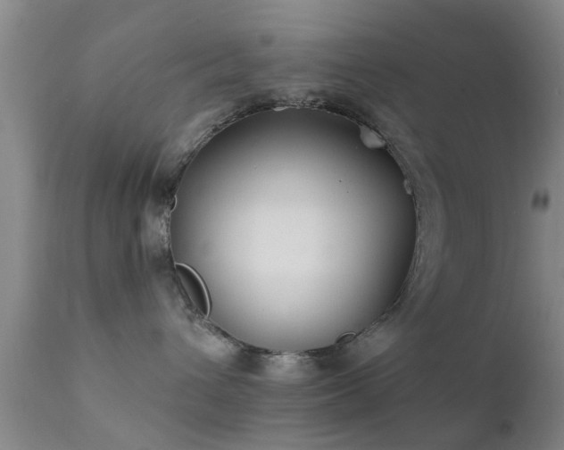 X0000112200432200908141438