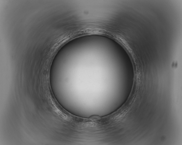 X0000112200433200908141437