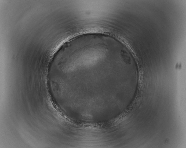 X0000112200434200908141437