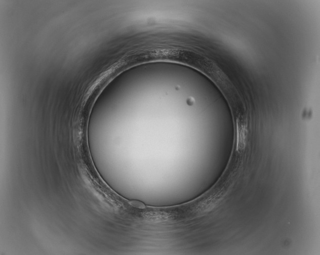 X0000112200435200908141437