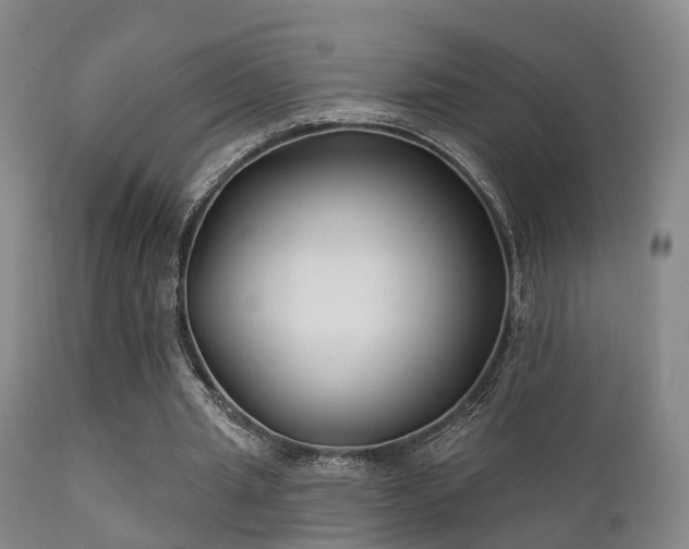 X0000112200437200908141437