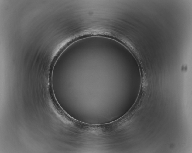 X0000112200438200908141437