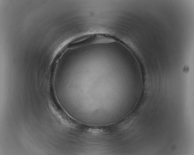 X0000112200440200908141437