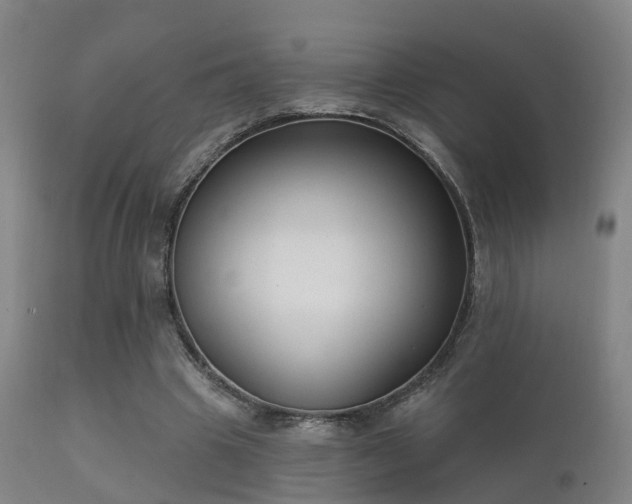 X0000112200441200908141437