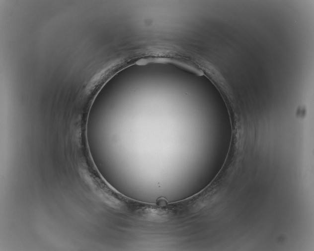 X0000112200442200908141437