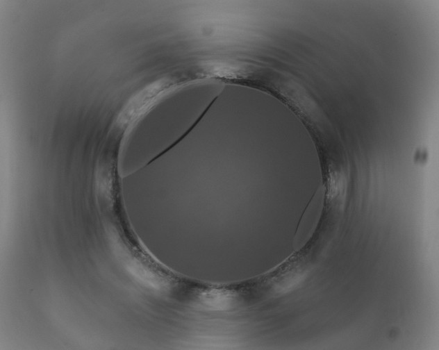 X0000112200444200908141437