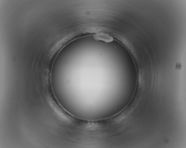 X0000112200445200908141437