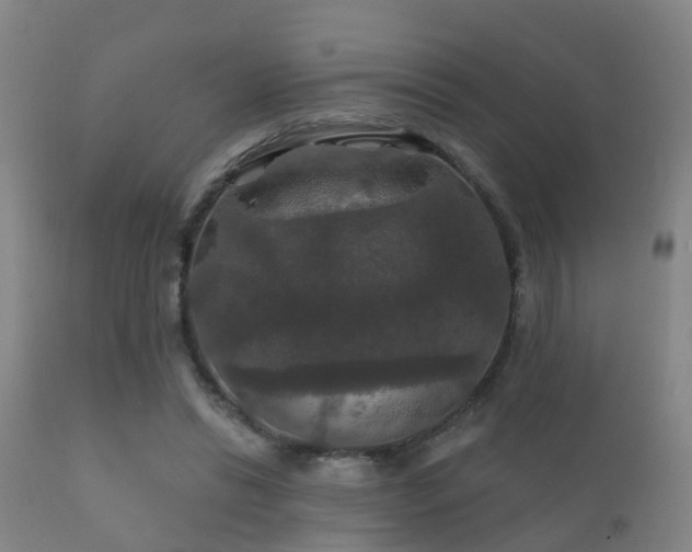 X0000112200446200908141437