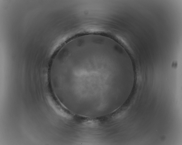 X0000112200447200908141437