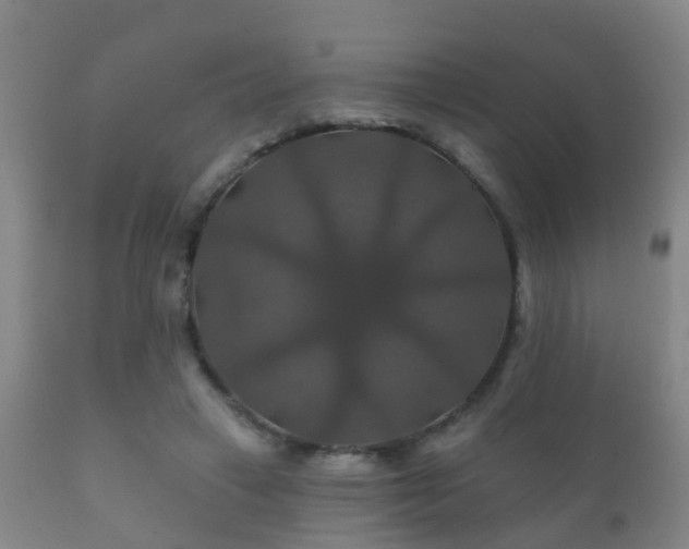 X0000112200449200908141437