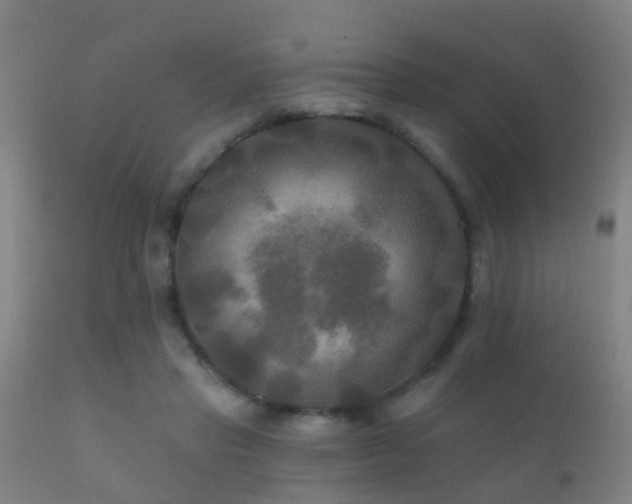 X0000112200453200908141437