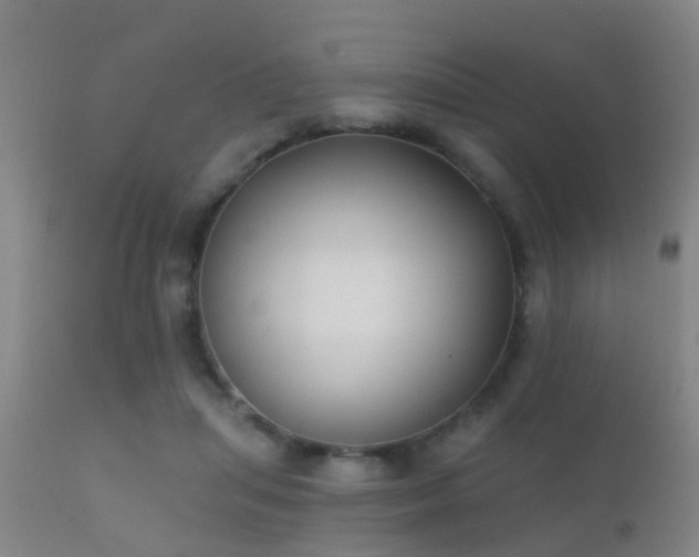 X0000112200455200908141437