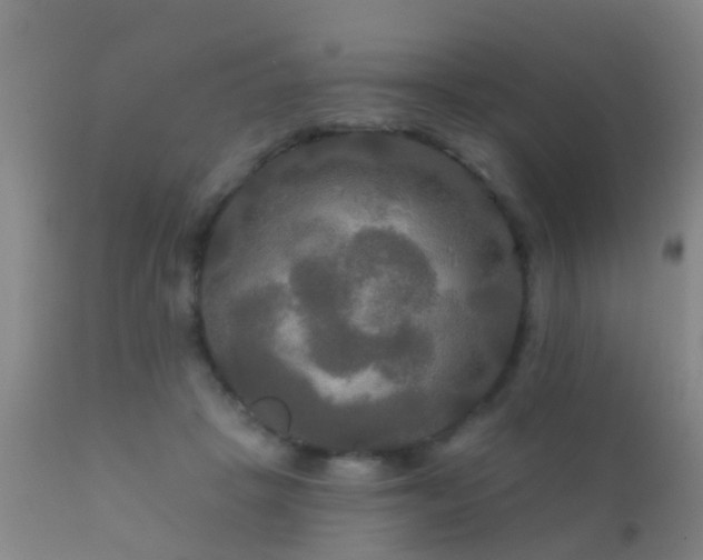 X0000112200457200908141437